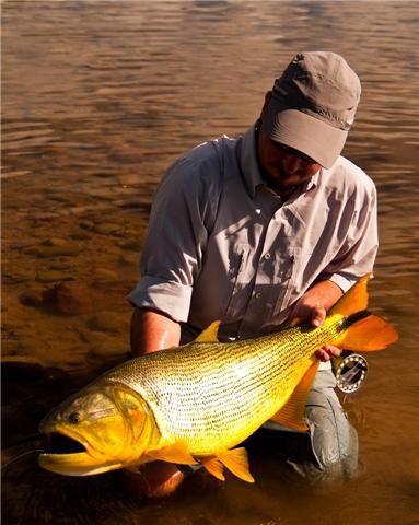 TSIMANE SCOUTING -WINTER DORADOS