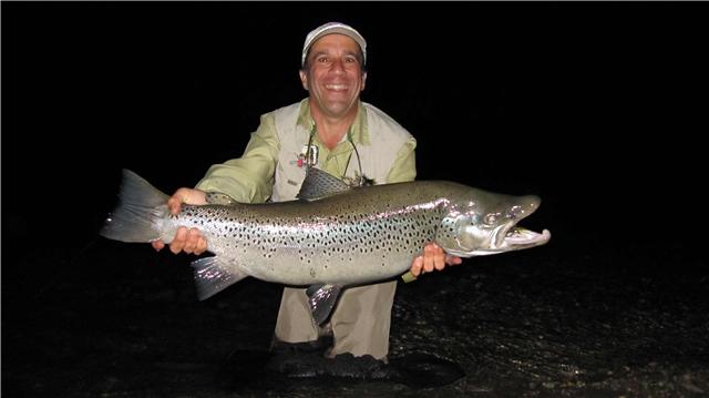brown trout