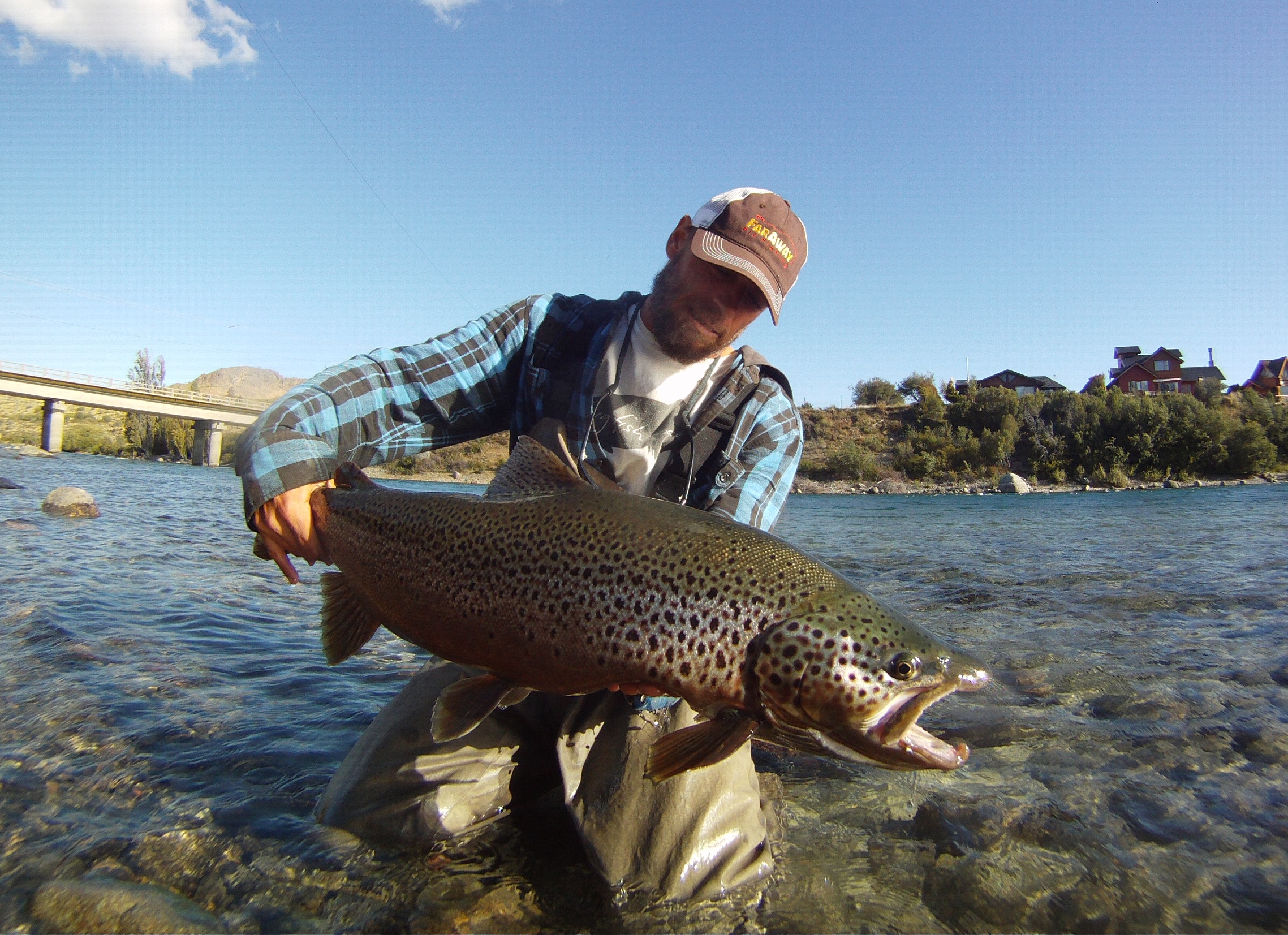 Rodrigo Amadeo with a brown trout from the Limay River in Argentina